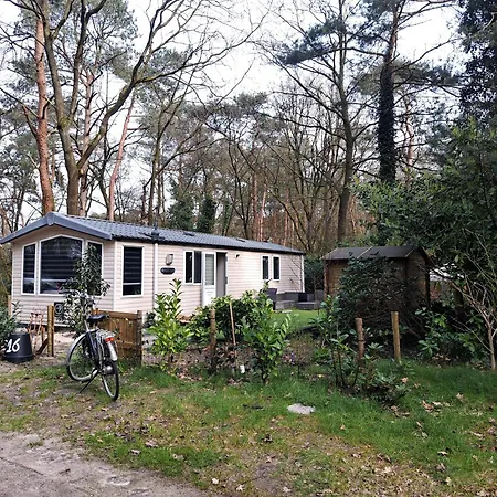 Holiday home Ruim Chalet, Midden In Het Bos!