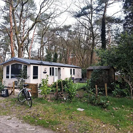 度假居 Ruim Chalet, Midden In Het Bos!