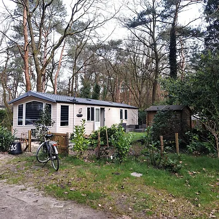 Ruim Chalet, Midden In Het Bos! *