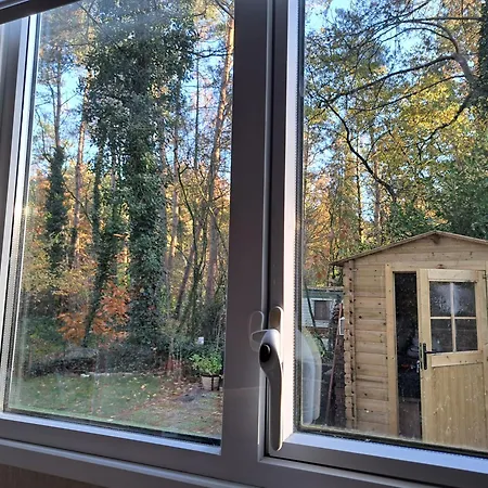 Ruim Chalet, Midden In Het Bos! Nunspeet