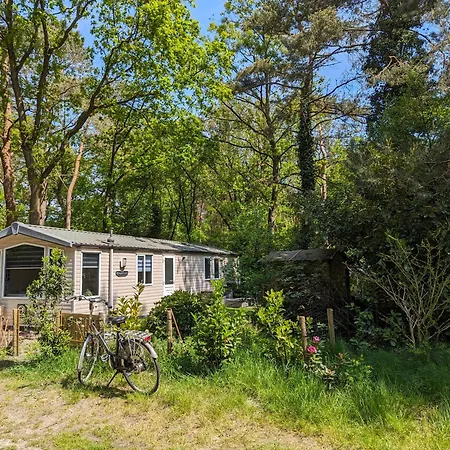 Ruim Chalet, Midden In Het Bos! *