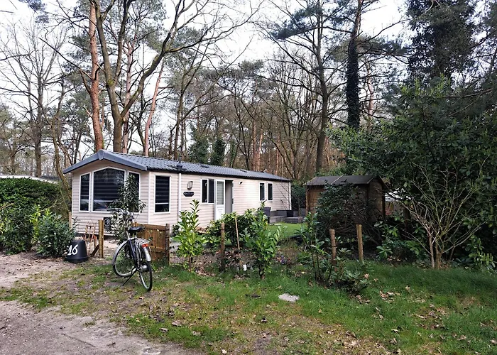 度假居 Ruim Chalet, Midden In Het Bos!