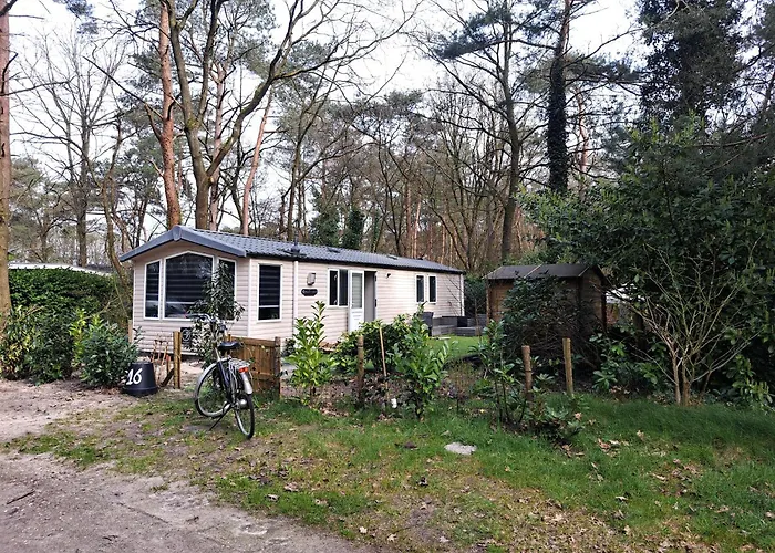 Ruim Chalet, Midden In Het Bos! *