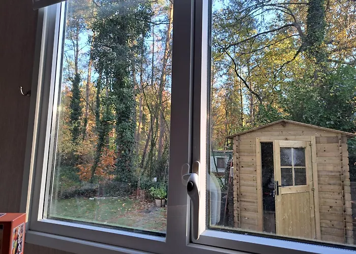 Ruim Chalet, Midden In Het Bos! Nunspeet