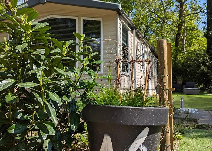 Ruim Chalet, Midden In Het Bos! * 宁斯佩特