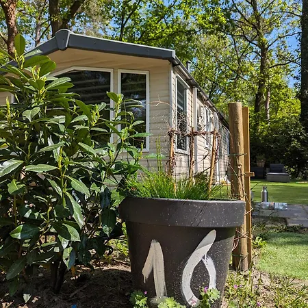 Ruim Chalet, Midden In Het Bos! * Nunspeet